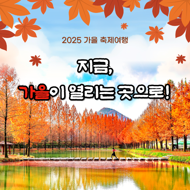 25 가을축제