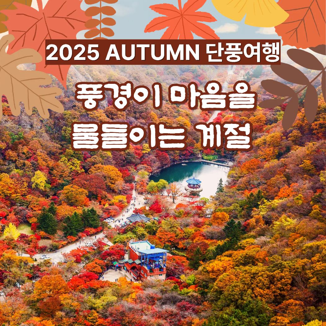25 단풍여행