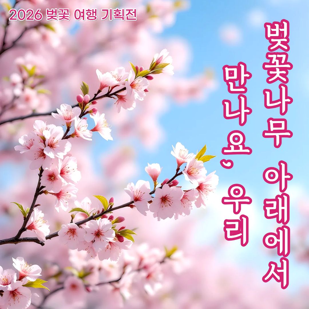 26벚꽃