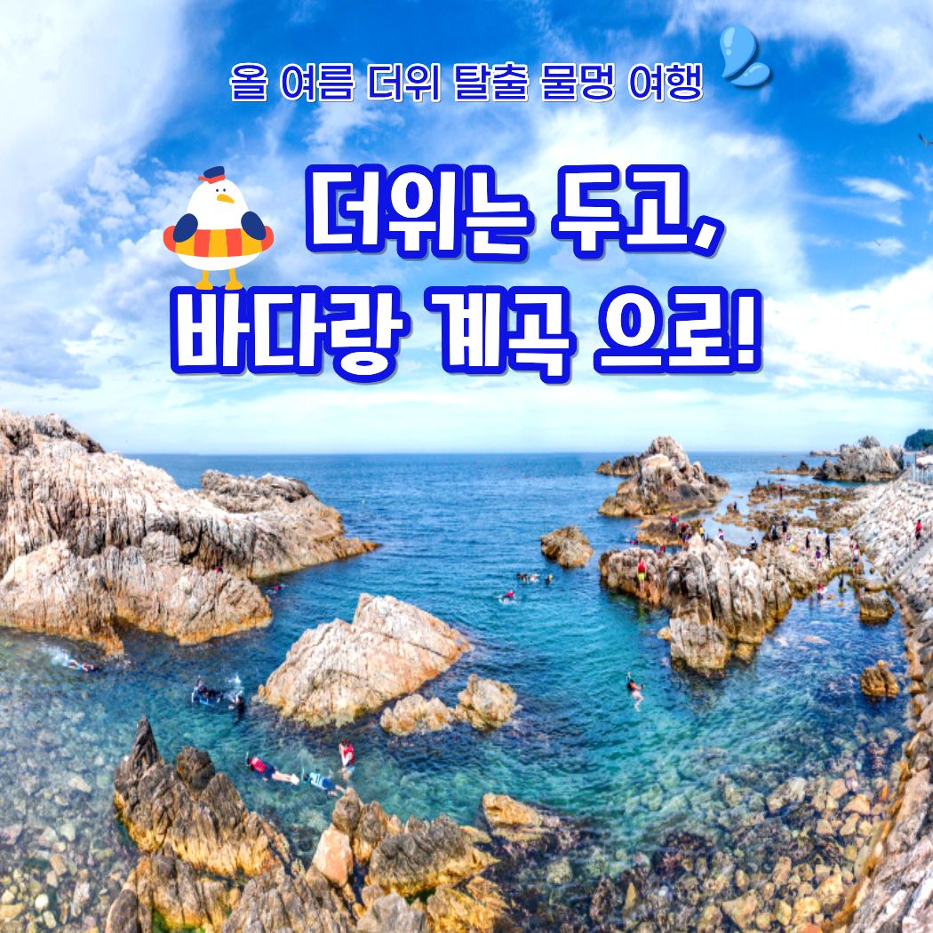 26여름바다계곡