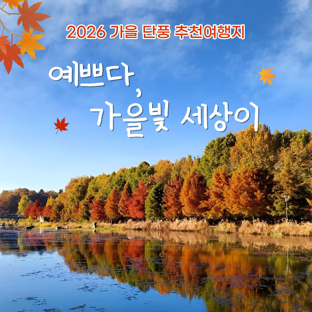 26 가을 단풍